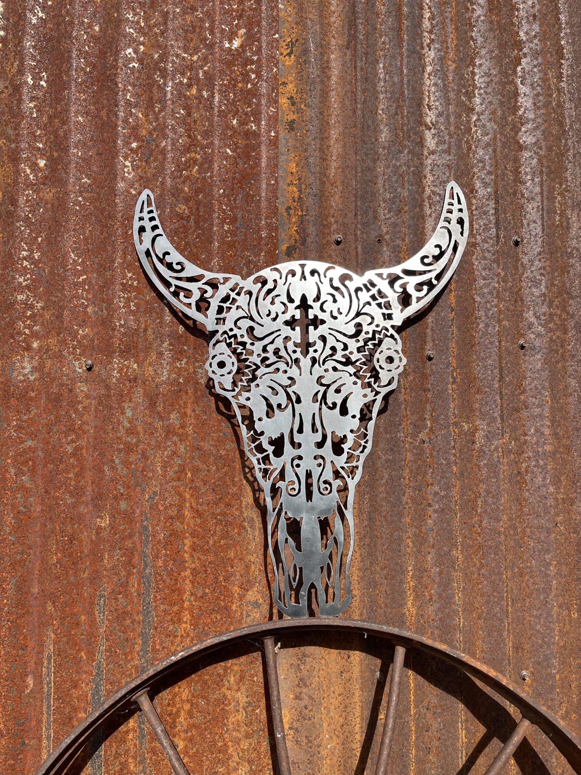 Longhorn Skull with Free Shipping
