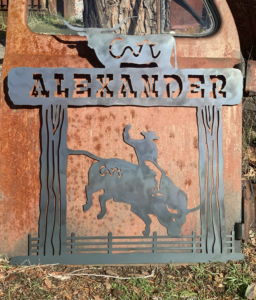 Custom Brand with Bull Rider