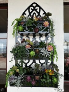 plant holder