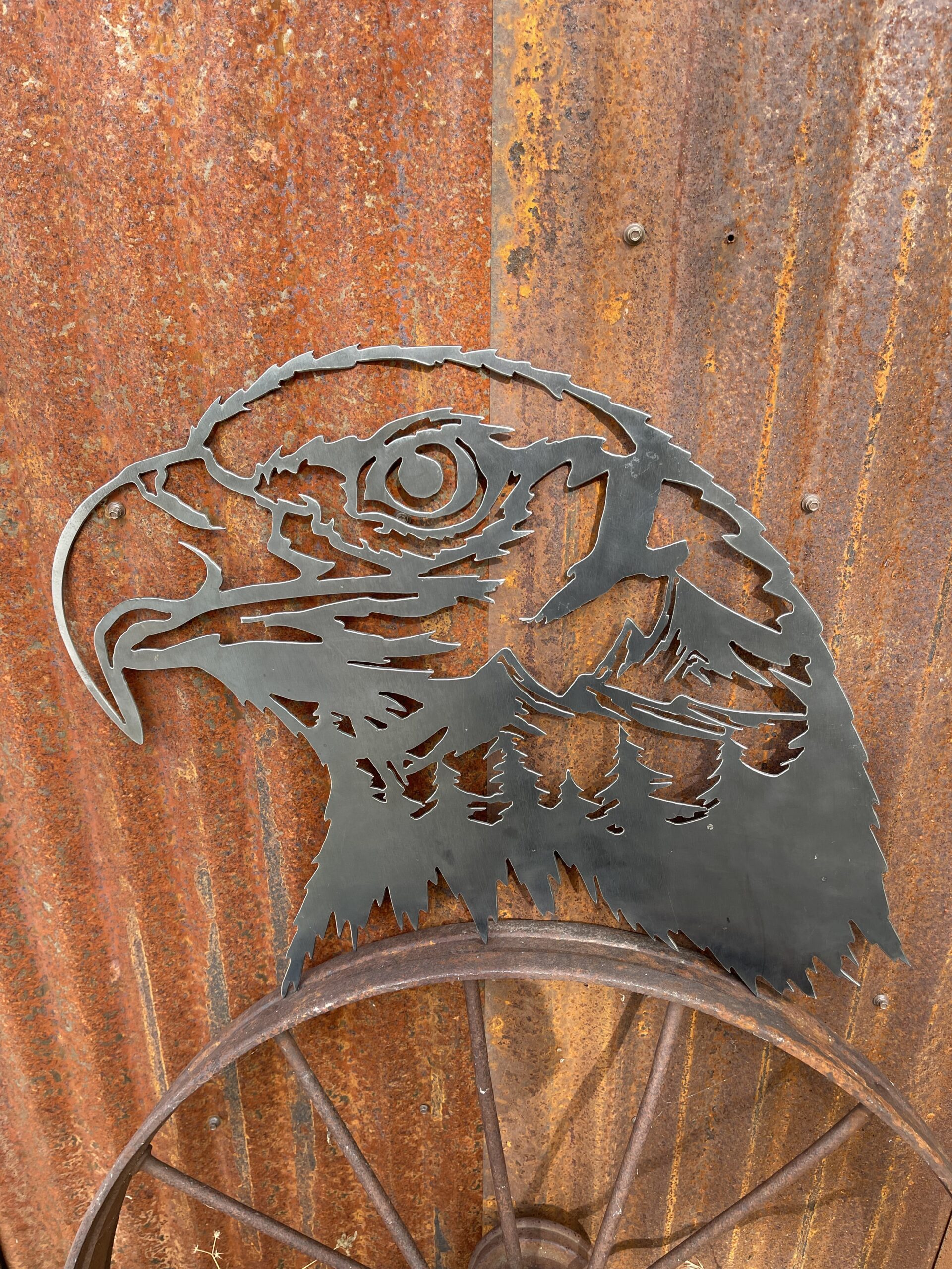 Eagle Head in Mountains – large, bare metal